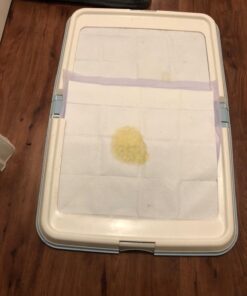 Petphabet 100 Pack Dog Pee Pads 23 by 24 Inches,Lavender Scented Dog Training Pads with Attractant 23 X 24 in 24 71Gn8tzHFKL