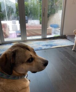 Duck Covers Ultimate Waterproof Square Patio Table & Chair Set Cover, 90 Inch 92"W x 92"D x 32"H 52 71GntwZ2inL 1