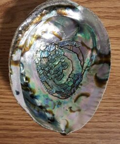 Vrinda ®Abalone Shell and 6'' Wooden Tripod Stand 23 71GoSk13NL