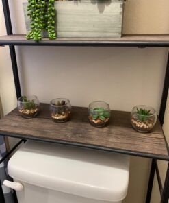 MyGift Assorted Artificial Succulent Fake Plant in Small Clear Glass Display Vases, Set of 4 42 71GovUUxYkL