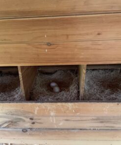 MagJo Premium Aspen 12 Pack Excelsior Nesting Liners (12 Pack), Chicken Bedding for Nesting Box, Nesting Pads Box Liners, Chicken Bedding for coop, Chick Bedding, USA Grown & Sustainably Harvested 32 71Gprspl10L