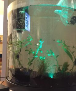 Tetra ColorFusion Starter aquarium Kit 3 Gallons, Half-Moon Shape, With Bubbler And Color-Changing Light Disc 53 71GsXFtslDL