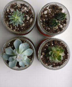 Kerr Wide Mouth Half-Pint Glass Mason Jars 8-Ounces with Lids and Bands 12-Count per Case (1-Case) 35 71GuIWAJSGL