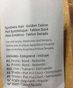 PRINCETON ARTIST BRUSH CO. Princeton Real Value, Series 9100, Paint Brush Sets for Acrylic, Oil & Watercolor Painting, Syn-Gold Taklon (Rnd 2, 4, Liner 2/0, Shader 2, 6, Angular 1/4, Wash 3/4) Gold 19 71Gz7bE 6zL
