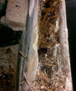 FoamPRO 219 Foam Paint Roller, 9" x 1/8" Twin Pack 9 x 1/8 Inch (Pack of 2) 9 71GzWswfBdL