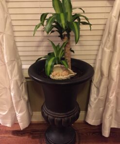 Joseph's Studio 4.25 Inch Tall Sleeping Baby in Wings Figurine 30 71GzyZ8EWEL