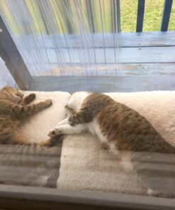 K&H Pet Products Outdoor Heated Dog Pad Tan Medium 19 X 24 Inches 45 71H0LQkSOL 1