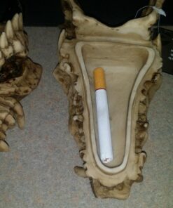 Snarling Magical Dragon Skull Treasure Trinket Box 51 71HAZRoeWuL