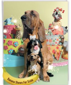 The Best Card Company - Funny Birthday Card with Envelope (Big 8.5 x 11 Inch) - Humorous Gratitude Animal Notecard Stationery - Puppy Love J6546CBDG 15 71HEE5U2WZL