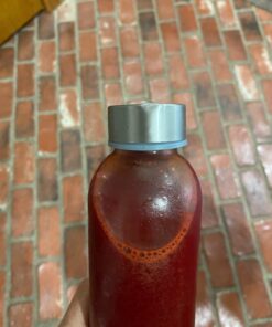 Brieftons Glass Water Bottles With Caps: Clear, 6 Pack, 18 Oz, Leakproof Lids, Premium Soda Lime, Best As Reusable Drinking Bottle, Sauce Jar, Juice Beverage Container, Kefir Kit, With Cleaning Brush 34 71HEl9BJ2L