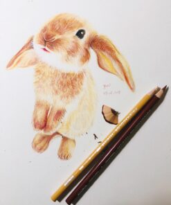 Strathmore Colored Pencil Spiral Paper Pad 9"X12"-30 Sheets -62477900 9x12 33 71HH2w3m0NL