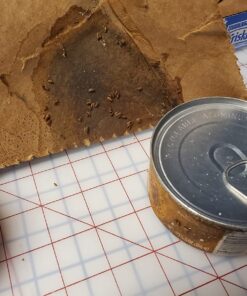 Purina Friskies Gravy Wet Cat Food , Meaty Bits - (24) 5.5 oz. Cans Chicken Dinner In Gravy, Gourmet Grill In Gravy, Beef In Gravy 5.5 Ounce (Pack of 24) 51 71HHkfVwhZL