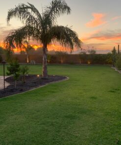 Haus & Garten ClassicPRO 8.5" Bypass Pruning Shears - Premium Garden Shears - Use As Gardening Shears, Garden Clippers, Handheld Heavy-Duty Professional Pruning Shears For Gardening & Pruning Scissors 40 71HI2MmUS L