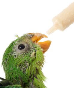 Frienda Large Plastic Syringe 4 Pack Measuring Syringe Tools Dispensing Multiple Uses(20 ml) 20 ml 26 71HJWc2VQFL