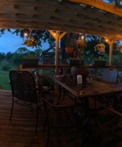 Lemontec Commercial Grade Outdoor String Lights with 15 Hanging Sockets - 48 Ft Black Weatherproof Cord Weatherproof Strand for Patio Garden Porch Backyard Party Deck Yard – S14 Black 34 71HJmk0yzEL