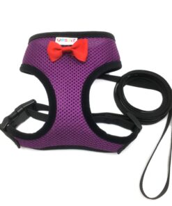 Alternative view of Yesito Chicken Harness Hen size With 6-foot Matching belt, Comfortable, Breathable, Small Size, Suitable for Chicken, Duck or Goose Suitable for Weight about 2.3-3.8Pounds, Orange (Small, Dark purple)