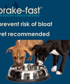 Alternative view of QT Dog Stainless Steel Brake-Fast Bowl, Medium, 64 Oz Medium-40 Oz.