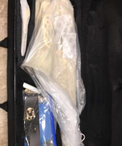 Eastar AS-Ⅱ Student Alto Saxophone E Flat Gold Lacquer Alto Beginner Sax Full Kit With Carrying Sax Case Mouthpiece Straps Reeds Stand Golden 40 71HOkk9FjRL