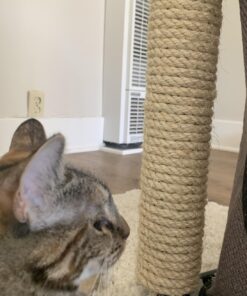 T.W . Evans Cordage Co. 23-410 3/8-Inch by 100-Feet Twisted Sisal Rope,Tan,Onе Paсk 24 71HP17f3xrL