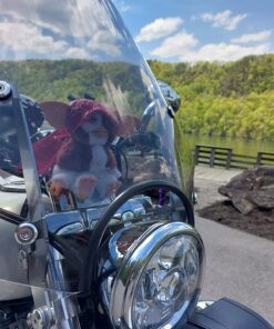 Gremlins - Deluxe Plush - Gizmo 43 71HT9GHVGXL