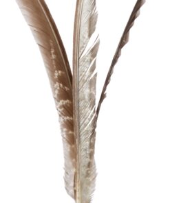 GoCat Kitty Kopter Cat Toy, Throw Toy with Feathers That Spins in The Air