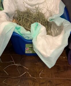 Van Ness Pets Large Open High Sided Cat Litter Box, Blue, CP2HS Pack of 1 28 71HW8Fm6WEL