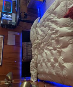 ELlight LED Strip Lights with APP, Dream Color 32.8ft LED Lights with Multicolor Chasing, Waterproof RGB Rope Lights Kit, 300 LEDs SMD 5050 Flexible Strip Lighting for Home Kitchen 46 71HXSkxYpSL