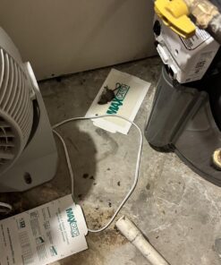 Max Catch 72 Pack Professional Strength - Mouse, Rat & Pest Glue Scented Sticky Trap for Rodents and Insects - Ready to Use Indoors - Non Toxic, No Mess, Easy Cleanup Mice Trap by Catchmaster 25 71HYQC6tHkL 2