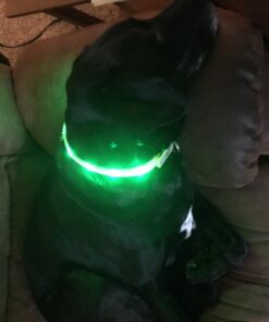 Blazin Ultra Bright Camping Lantern - Waterproof, Portable & Lightweight, 500 Lumens Battery Operated Camping Light - Ideal for Camping, Hurricane, Power Outages & Emergencies 500 Lumen Green 61 71HYhgDlI4L