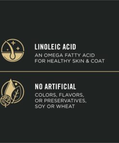 Purina Pro Plan Sensitive Skin and Stomach Dog Food Pate, Sensitive Skin and Stomach Salmon and Rice Entree - 13 oz. Can Salmon & Rice - Wet Dog Food (12) 13 oz. Cans 26 71HbBbkhnaL