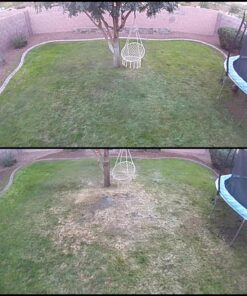 Lawnlift Ultra Concentrated (Green) Grass Paint 16oz. = 1.375 Gallons of Product. 34 71HbcqGcFuL