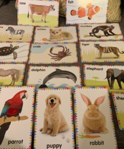My First Touch and Feel Picture Cards: Animals (My First Board Books) 39 71HbsoEAo5L