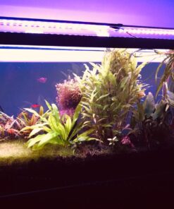 Seachem Flourish Potassium 500ml One size 32 71HcbGUswrL