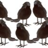 PREXTEX 6pcs Black-Feathered Small Crows Halloween Decorations | Outdoor&Indoor Decor | Fake Bird, Halloween Birds, Scary Ravens, Decorative Crows, Raven | Home, Fence, Porch, Tree, Party Decoration 41 71HeSNxgoTL