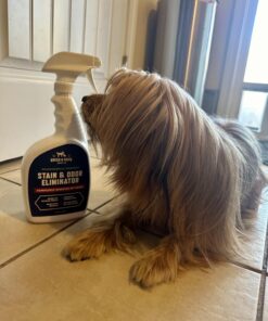 Rocco & Roxie Supply Co. Stain & Odor Eliminator for Strong Odor - Enzyme Pet Odor Eliminator for Home - Carpet Stain Remover for Cats & Dog Pee - Enzymatic Cat Urine Destroyer - Carpet Cleaner Spray 32 oz 34 71HelbbdbVL 3