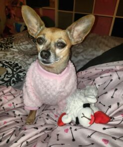 Zesty Paws Calming Chews for Dogs Composure & Relaxation for Everyday Stress & Separation Advanced Melatonin 90 Count Turkey - Melatonin 90 Count (Pack of 1) 42 71HgNhRNIqL