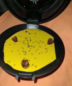 Katchy Indoor Insect Trap - Catcher & Killer for Mosquitos, Gnats, Moths, Fruit Flies - Non-Zapper Traps for Inside Your Home - Catch Insects Indoors with Suction, Bug Light & Sticky Glue (Black) Original Black 42 71HhXmMCIiL