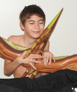 Jet Creations 57" Inflatable Pteranodon, Large Inflatable Dinosaurs Animals Toys for Indoor and Outdoor Play Pteranodon / Pterodactyl 41 71HiwbSW9FL