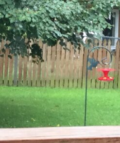 Roamwild Hanging Hummingbird Feeder for Outdoors with Double Moat Guard Technology | 5 Feeding Stations with Quick Easy Filling Port | 20 fl oz Nectar Large Capacity - Purple Petals (Yellow) Yellow 35 71Hjni83fOL