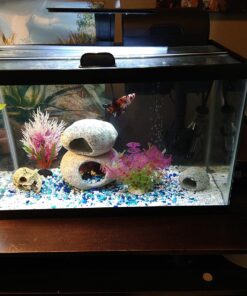 Penn-Plax Deco-Replicas Granite Aquarium Ornament & Hideaway – Realistic Stone Appearance – Safe for Freshwater and Saltwater Tanks – Small Size, White (RR1071) 35 71Hkmipsf4L