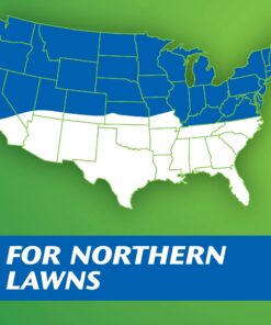 Scotts Turf Builder Grass Seed Sun & Shade Mix, Grows in Extreme Conditions & Spreads for a Durable Lawn, 7 lbs. 1 Pack 7 lb. 47 71Hm1hA2UuL 1