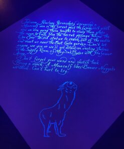 Noodler's Ink Blue Ghost Invisible 3oz Bottled Ink 21 71HntK8FjHL