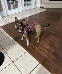 Kuoser Cozy Waterproof Windproof Reversible British Style Plaid Dog Vest Winter Coat Warm Dog Apparel for Cold Weather Dog Jacket for Small Medium Large Dogs with Furry Collar (XS - 3XL),Red M Medium (Pack of 1) Red 30 71HoT RwdL