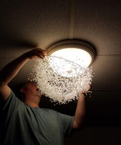 Kurt Adler 6' Plastic Ice Wire Clear Garland (Clear, 1 Pack) 42 71Hqwv77eCL