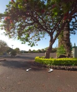 GoPro Camera Fusion - 360 Waterproof Digital VR Camera with Spherical 5.2K HD Video 18MP Photos 42 71Hu3MIGURL