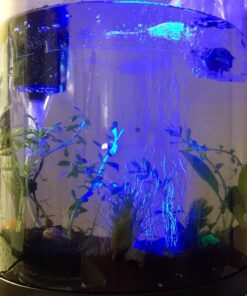 Tetra ColorFusion Starter aquarium Kit 3 Gallons, Half-Moon Shape, With Bubbler And Color-Changing Light Disc 54 71HvbbZf9L