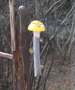 Kaytee Wild Bird Finch Station Soft Mesh Sock Feeder, Includes 2 Socks 2 Count (Pack of 1) 18 71HybAXF6HL