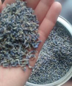 TMT Lavender Flowers Ultra Blue Grade, 1/2 lb 20 71HyhrwyJeL