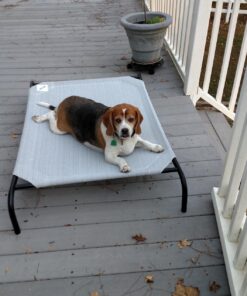 Coolaroo The Original Cooling Elevated Dog Bed, Indoor and Outdoor, Large, Terracotta 51.0"L x 31.5"W x 8.0"Th 40 71I AITGKgL