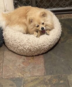 DentaLife Made in USA Facilities Small/Medium Dog Dental Chews, Daily - 40 ct. Pouch 40 Count (Pack of 1) 36 71I1OOFoyL